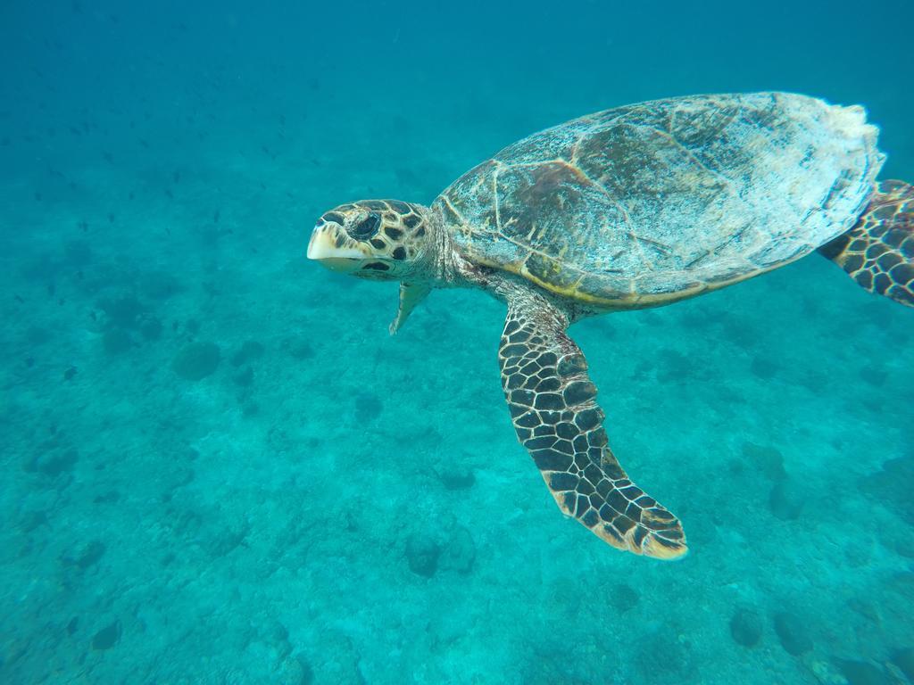 Отель Maldives Seashine Хураа Экстерьер фото