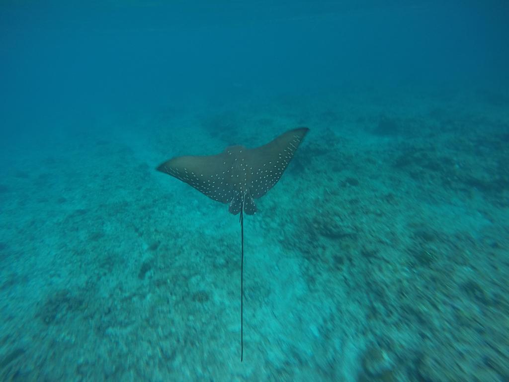Отель Maldives Seashine Хураа Экстерьер фото
