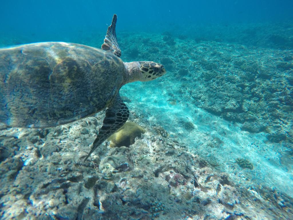 Отель Maldives Seashine Хураа Экстерьер фото