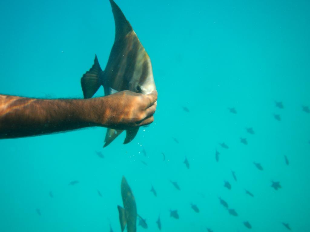 Отель Maldives Seashine Хураа Экстерьер фото